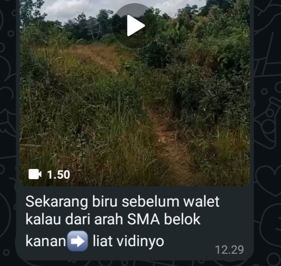 Fizer Narapidana Narkoba Mengendalikan Dari Dalam Lapas Selindung Bangka Belitung.